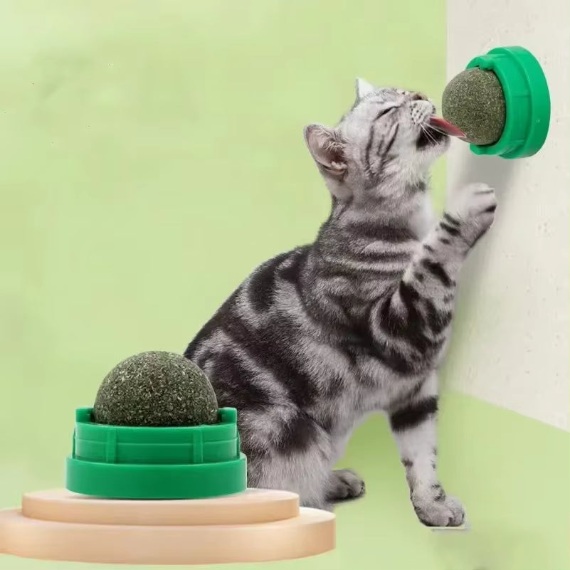 Cat Toy Catnip Cat Wall Stick-On Ball Toy Scratchers Treats Healthy Natural Removes Balls to Promote Digestion Cat Grass Snack