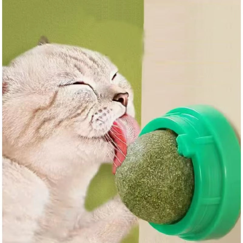 Cat Toy Catnip Cat Wall Stick-On Ball Toy Scratchers Treats Healthy Natural Removes Balls to Promote Digestion Cat Grass Snack