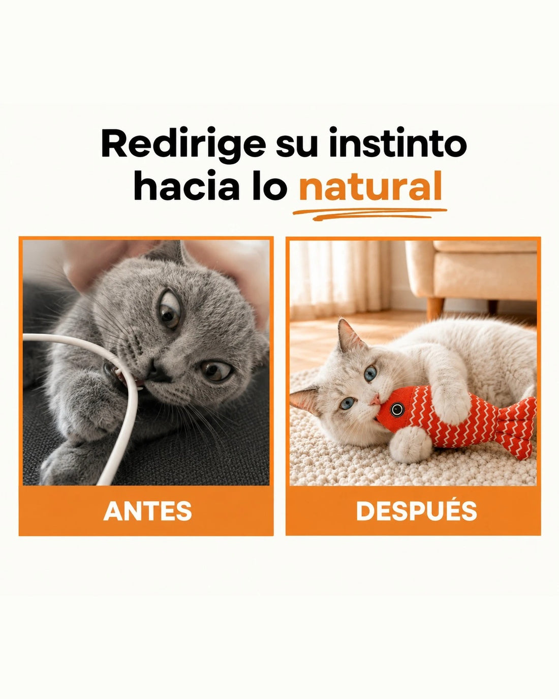 Antes: gato mordiendo un cable. Después: gato abrazado a su pez de catnip
